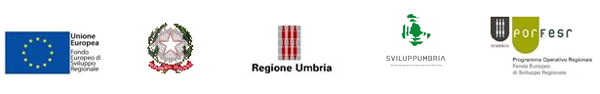 Contributions for the upgrading and adaptation of the website aimed at the foreign market
